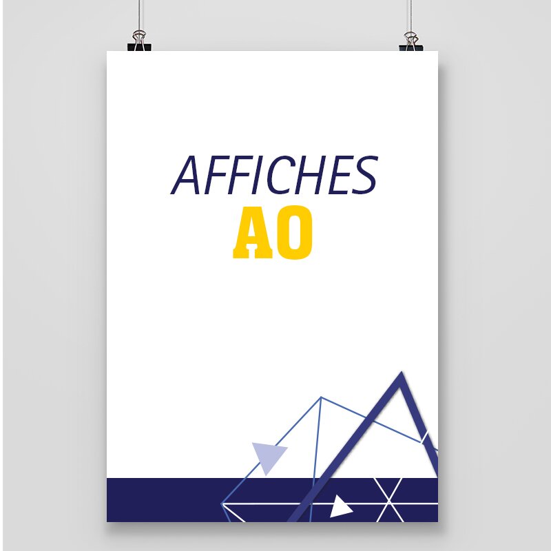 Impression affiche A0 pas cher photo 1